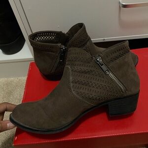 American Rag Chocolate Ankle Booties